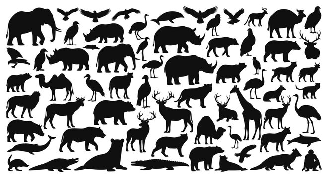 Black silhouettes of various wild animals.