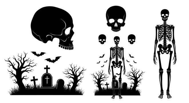 Black silhouette of human skeleton bones.