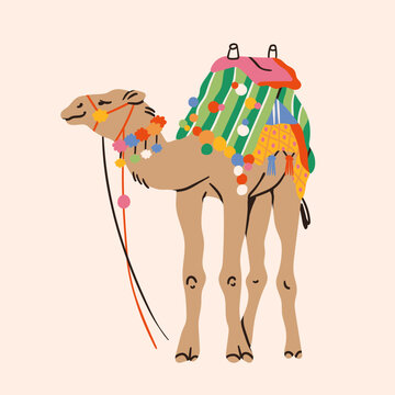 Standing Camel with traditional Arabian saddle, bright colorful blanket, carpet. Front view. Hand drawn trendy Vector illustration. Isolated design element. Logo, icon, sticker, print template