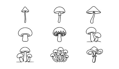 Mushroom One Line Drawing Set Black and White Minimal Botanical Vector Collection © Shaha