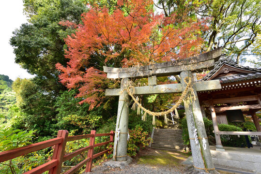 Daikozenji Temple is the most famous landmark in Kiyama, Saga Prefecture, Japan