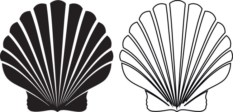 Black seashell silhouettes on white background seashell shell outline bivalve mollusk symmetrical shapes