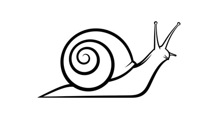 Black and white illustration of a snail isolated on a white background © irul