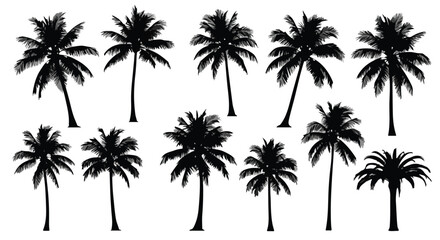 Fototapeta premium Silhouette collection of tropical palm trees in various shapes and sizes for summer beach designs