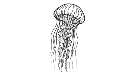 Elegant black and white illustration of a graceful jellyfish on white background © irul