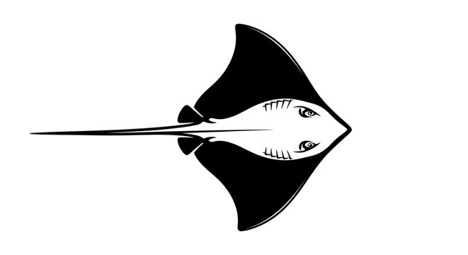 Graphic illustration of a black and white stingray isolated on a white background