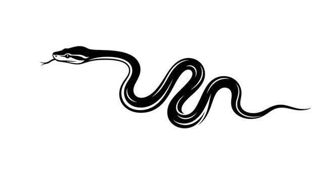 Stylized black and white snake illustration on a white background vector art