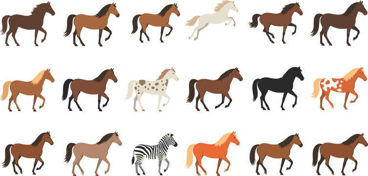 Large collection of horse breed vectors including stallions mares and a zebra in various walking and running poses isolated on white background.