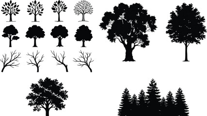 Fototapeta premium Tree silhouette vector set, deciduous oak pine forest icons, bare winter branches, black nature plant graphics, eco environment design collection,