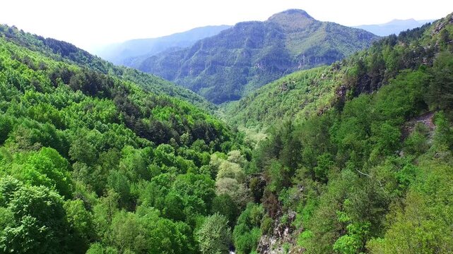 Aerial view of broadleaf forest valley in Colombian mountains showing pristine temperate wilderness. Lush green canopy covers uninhabited slopes creating pure and natural landscape.