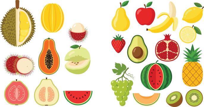 Colorful Tropical And Exotic Fruit Collection Set Vector Illustration Isolated White Background Durian Papaya Rambutan Guava Design Collection