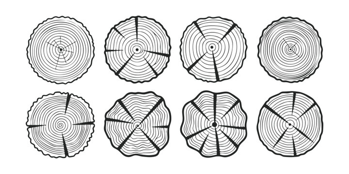 Set of eight hand drawn tree rings cross sections showing wood texture circles and growth rings in black and white
