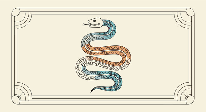 Stylized illustration of a winding snake with colorful geometric patterns in blue orange and white inside a thin decorative frame.