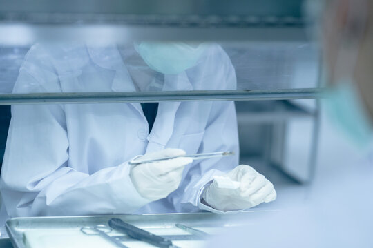 Forensic pathologist extracting trace evidence specimen via precision forceps. Crime lab expert conducting post-mortem biological analysis protocols on sterile tray.