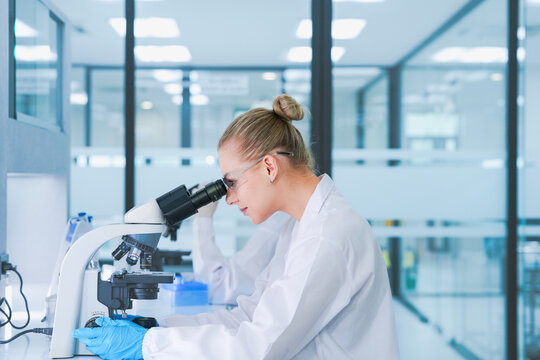 Biomedical scientist donning sterile nitrile gloves for aseptic laboratory procedure. Female researcher adhering to strict biosafety ppe compliance standards.