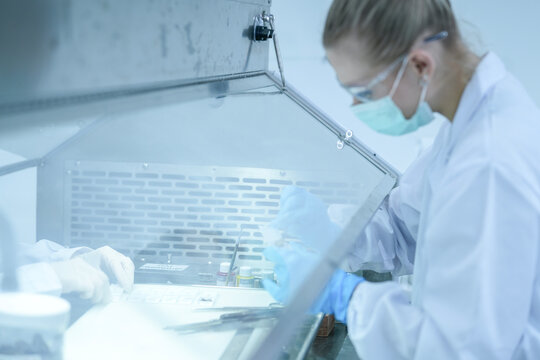 Clinical embryologist manipulating gamete specimens for in vitro fertilization (ivf) procedure. Reproductive scientist examining oocyte quality in sterile laboratory hood.
