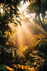Obraz premium Softly lit jungle scene bathed in warm light, ideal for overlay text