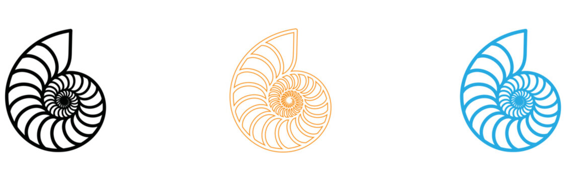 Colorful abstract geometric nautilus shells isolated on transparent background, Vector