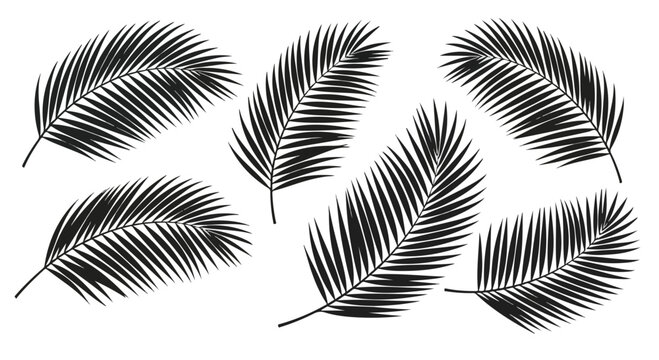 A set of tropical palm frond silhouettes arranged in an airy monochrome composition for nature decor