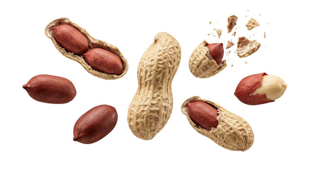 Floating peanuts isolated on transparent background png