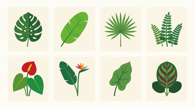 Variety of Tropical Green Leaves.