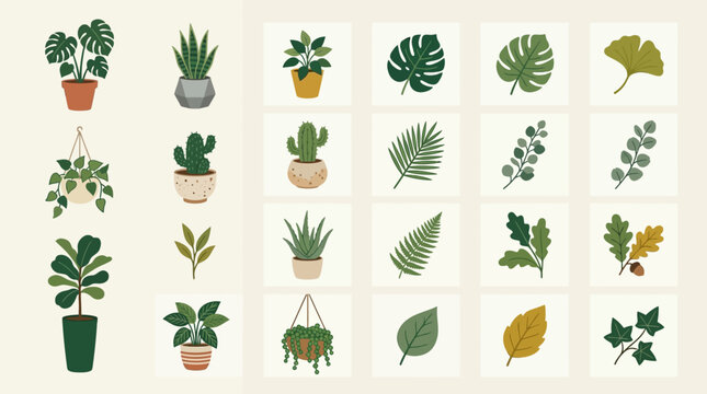 Collection of various potted houseplants.