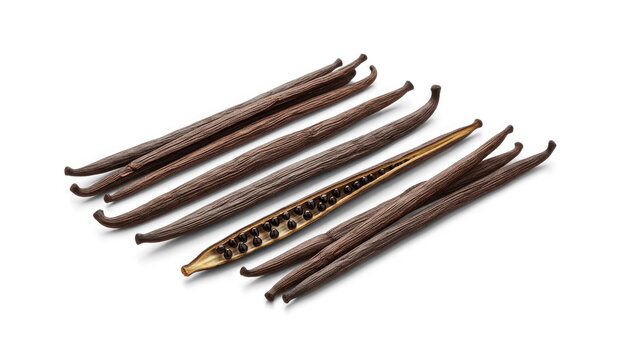 A collection of vanilla beans rests on a transparent background. Several brown vanilla beans are arranged in a row, with one bean sliced open to reveal the dark vanilla seeds inside.