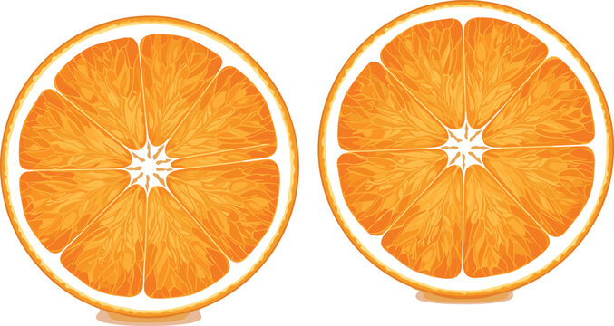 Realistic orange slices close up with detailed juicy pulp texture, fresh citrus fruit illustration in vibrant vector style isolated on white background