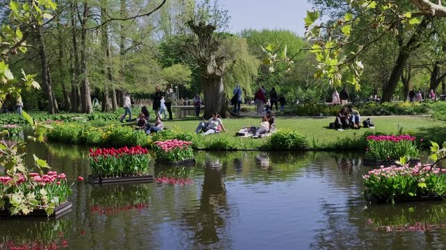 People relaxing in park by pond with blooming tulips, spring lifestyle scene in Netherlands