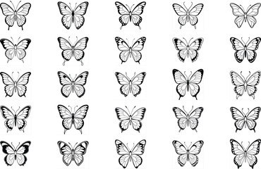 Fototapeta premium Betterfly vector