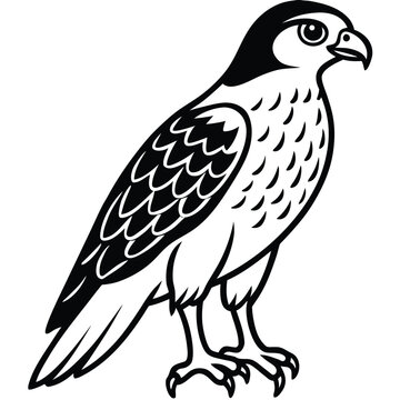 Egole, vintage, vector EGOL BIRD LOGO adobe illustrator vector file. Egol modern logo design and abstract logo. Ai generate