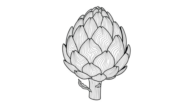 Detailed black and white hand drawn sketch of a whole artichoke vegetable with intricate scales in a vintage botanical style.