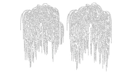 Two hanging willow branches decorative elements isolated on a transparent background set. © Sara Studio