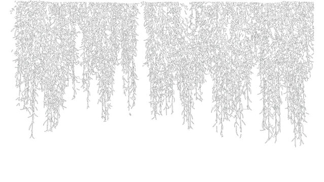 Large set of hanging plant vines for architectural rendering on transparent background.