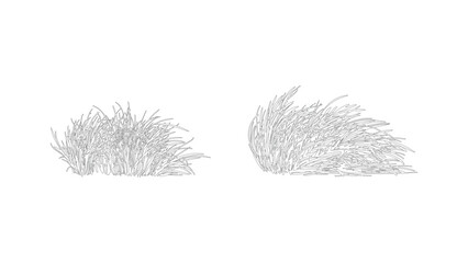 Wild grass tuft outline drawing set organic meadow vegetation on transparent background. © Sara Studio