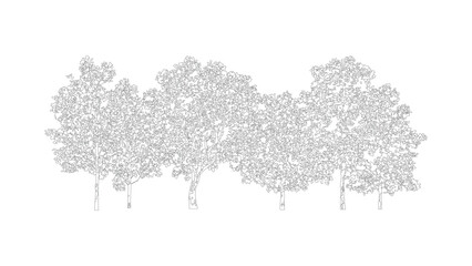 Natural tree silhouette row landscape sketch outline isolated on transparent background. © Sara Studio