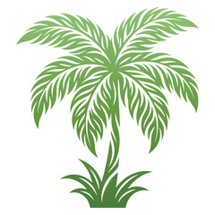 Fototapeta premium Green Palm Tree Tropical Plant.