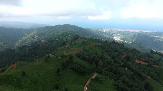 Aerial view of lush green tea fields covering rolling hills in humid subtropical mountain climate. Verdant plantations and misty slopes define fertile highlands shaped by rainfall and terrain.