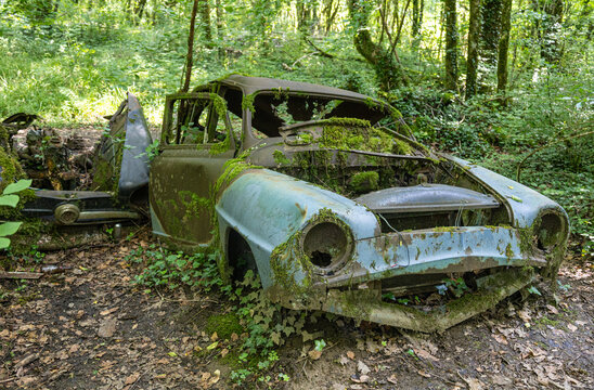 voiture recouverte de mousse, abandonn&eacute;e,&eacute;pave automobile, &agrave; la casse, abandonn&eacute;es, hors d'usage, fin des moteurs thermiques