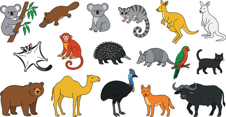 Wild and Exotic Animals - Koala, Kangaroo, Platypus, Monkey, Parrot, Bear, Camel, and More for Wildlife and Nature Illustration © Sanjida