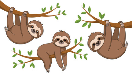 Fototapeta premium Set of cute cartoon sloth characters hanging and sleeping on tree branches, friendly jungle animal illustrations isolated on a white background.