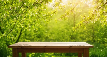 Fototapeta premium Spring beautiful background with green lush young foliage and flowering branches with an empty wooden table on nature outdoors in sunlight in garden. 
