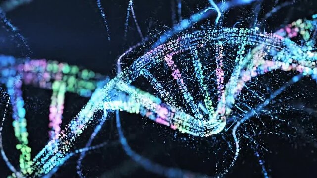Animated transition from a rotating fingerprint morphing into a DNA double helix, glowing particles, scientific visualization, dark background, smooth camera orbit, ultra detailed, futuristic science 