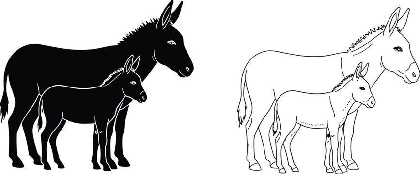 Donkey and foal vector illustration set featuring black silhouette and detailed black-and-white line art drawings.