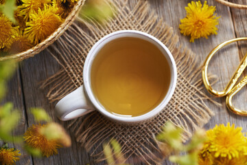 Dandelion flower tea in a cup © Madeleine Steinbach