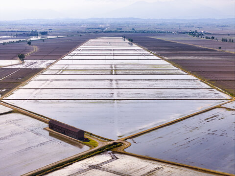Aerial view of the historic Tenuta Colombara farm surrounded by flooded rice fields and geometric irrigation paddies in the flat agricultural landscape of Livorno Ferraris, Piemonte, Italy.