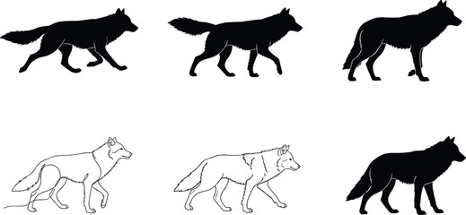Obraz premium Black and White Walking Wolf Silhouettes Set with Different Stances for Logo and Icon Design