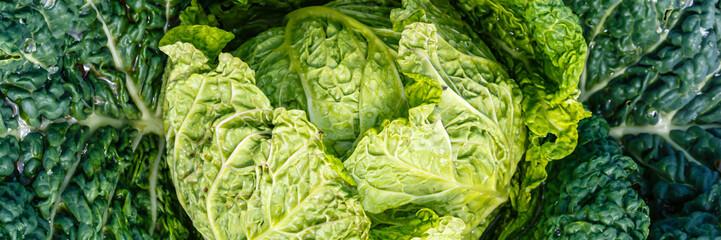 Obraz premium Fresh cabbage, ready for salad preparation and cooking at a local farmer's market in autumn