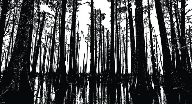 Black and white vector illustration of swamp forest trees reflected in water.