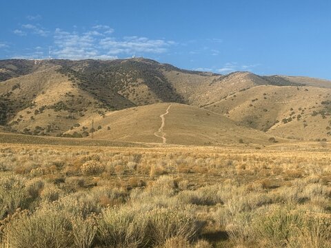 Dry spring Lake Mountain March 2026